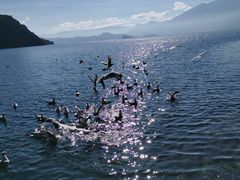 -丽江泸沽湖景区
