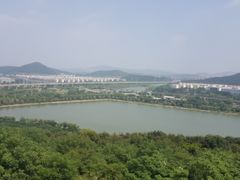 -羊山湖公园