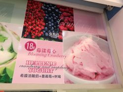 -朵莉丝希腊冻酸奶