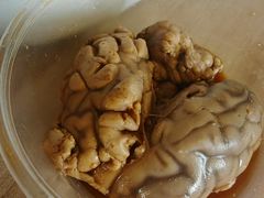 -向阳羊汤(千峰店)