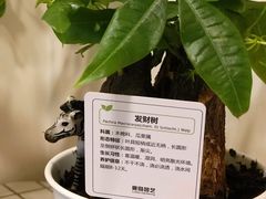 -鹿岛会员店 (龙湖三千集天街店)