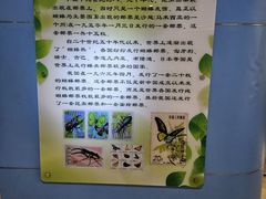 -上海昆虫博物馆