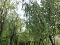 -太阳宫公园