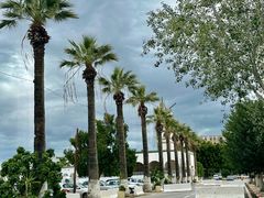 -巴尔多国家博物馆