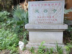 -灵谷景区