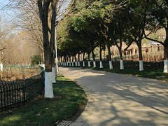 -幕燕滨江·长江观音景区