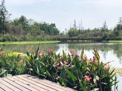 -桤木河湿地公园