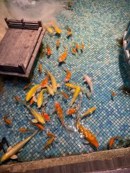 点击看大图 -酷嗒动物文化乐园(cutezoo西溪乐天城店)