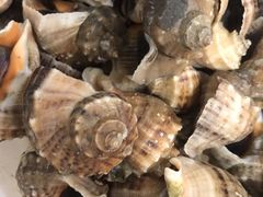 -宾朋海鲜特色美食餐厅·纯手工鲅鱼水饺(兴海路店)