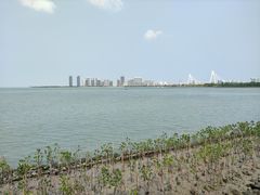 -万绿园