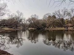 -上海共青森林公园