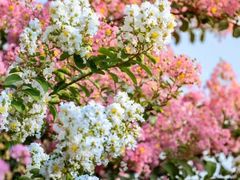 -杭州城北体育公园