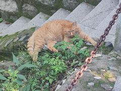 -北京凤凰岭
