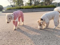 -洋洋中餐馆·SINCE 1997(信投店)