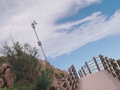 -广东惠东海龟国家级自然保护区