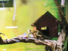 -华夏文旅西安度假区