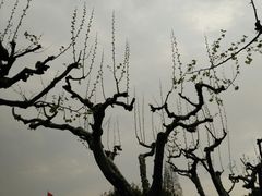 -螺世纪螺蛳粉·桂味小排档(裕德店)