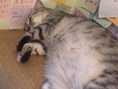 -H立方实景剧情密室(天河旗舰店)