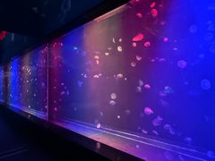 -南昌融创海世界