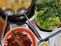 -菌之家·专业纯野生菌火锅·特色炒菌