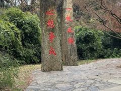 -南京科技馆