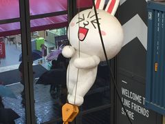 -line friends(明洞旗舰店)