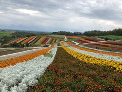 -富田农场