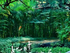 -广州市石门国家森林公园