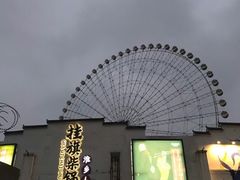 -挂旗柴锅鸡(蚌山区嘉年华店)