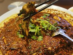 水煮黄辣丁-胖大姐黄辣丁鱼庄(新津店)