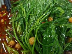 -重庆火红麻辣烫(伟超置业大厦店)