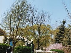 -石家庄市植物园