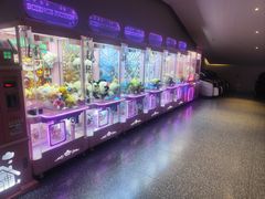 -深影国际影城(学院南路店CGS中国巨幕店)