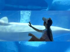 -海合安武汉极地海洋公园