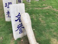 -陈家山荷花公园