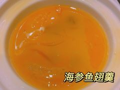 海参鱼翅羹-骏莱海鲜鱼港(五角场店)