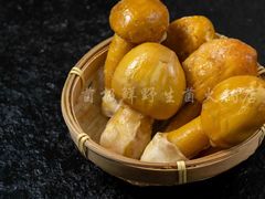 -菌极鲜野生菌火锅店(阳明祠店)