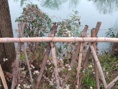 -贵阳市花溪国家城市湿地公园