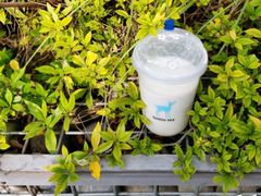 桂花乌龙生椰乳茶-瑞幸咖啡(第一城店)