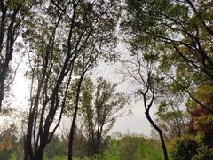 -昆山城市生态森林公园