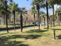 -中央公园(苏州工业园区)