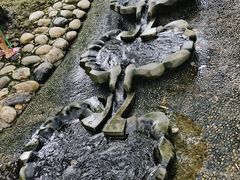 -成都市活水公园