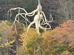 -丹东天桥沟景区