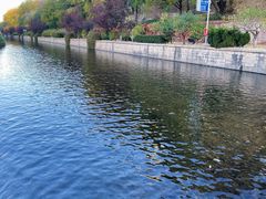 -元大都城垣遗址公园