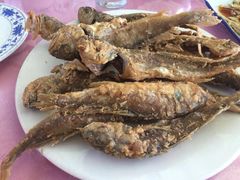 -叶存利海鲜大馅饺子(东戴河止锚湾店)