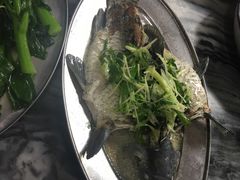 清蒸鲫鱼-红星光发煲仔饭(大石街店)