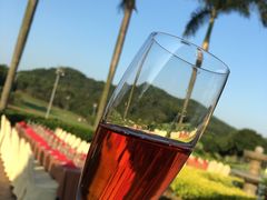 -麓湖高尔夫球俱乐部