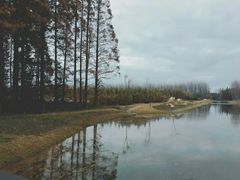 -黄海国家森林公园