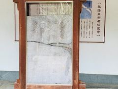 -韬光茶庵