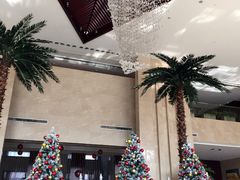 -常州环球恐龙城维景国际大酒店